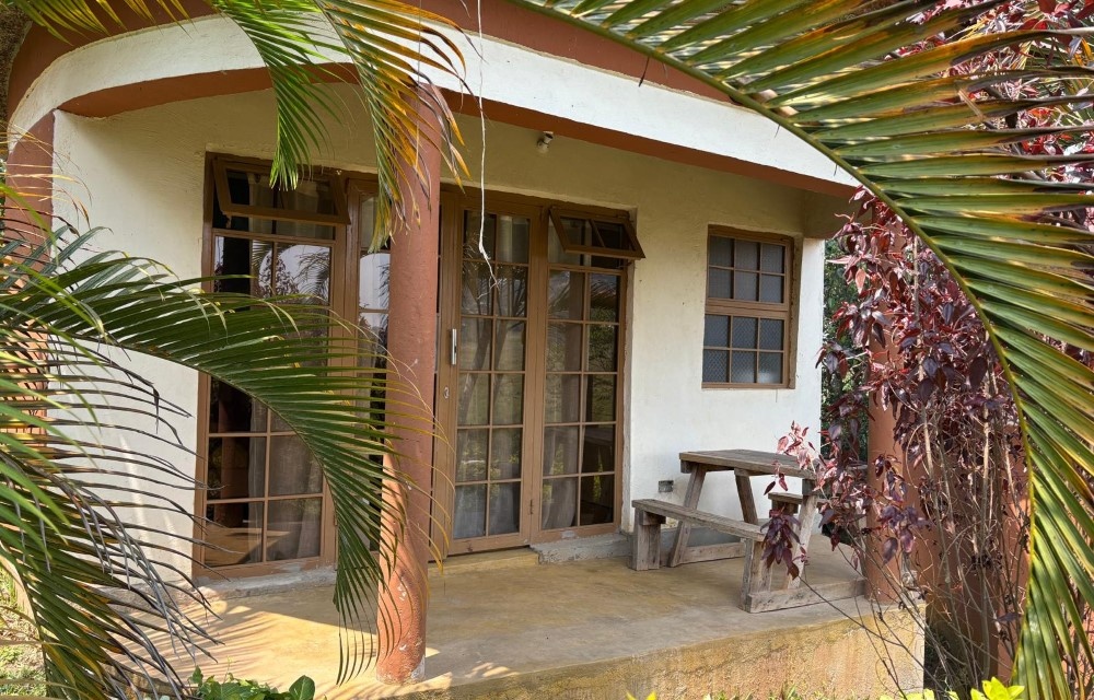 Exploring the Vibrant Nightlife at Wildwest Guest House